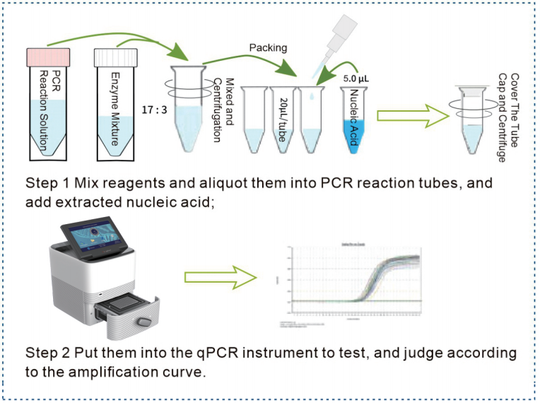 PCR操作图