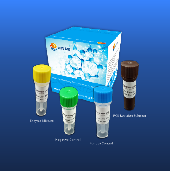 New Coronavirus COVID-19 Nucleic Acid Detection Kit (Fluorescent RT-PCR Method)