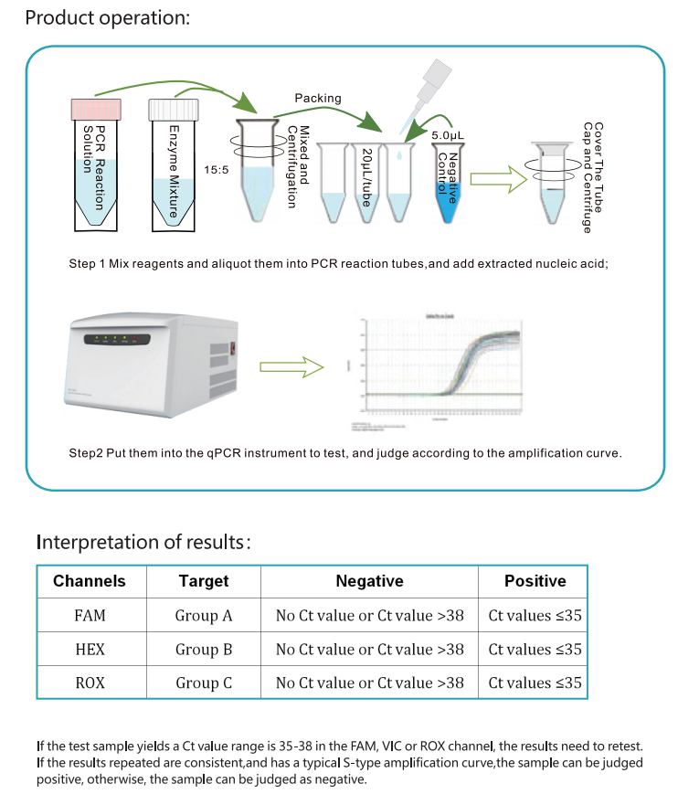 Rotavirus Real Time PCR