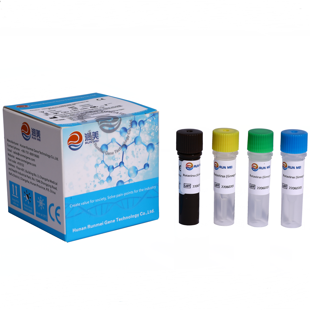 Rotavirus GROUP A B C Real Time PCR Detection Kit 